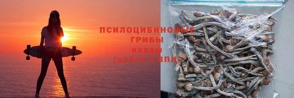 шишки Нея