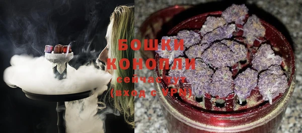 шишки Нея
