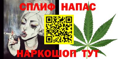индика Абакан