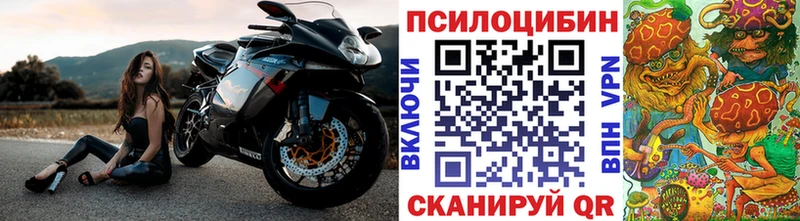 Галлюциногенные грибы Psilocybe Камень-на-Оби