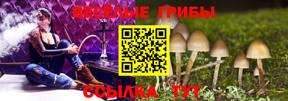Псилоцибиновые грибы мухоморы Камень-на-Оби